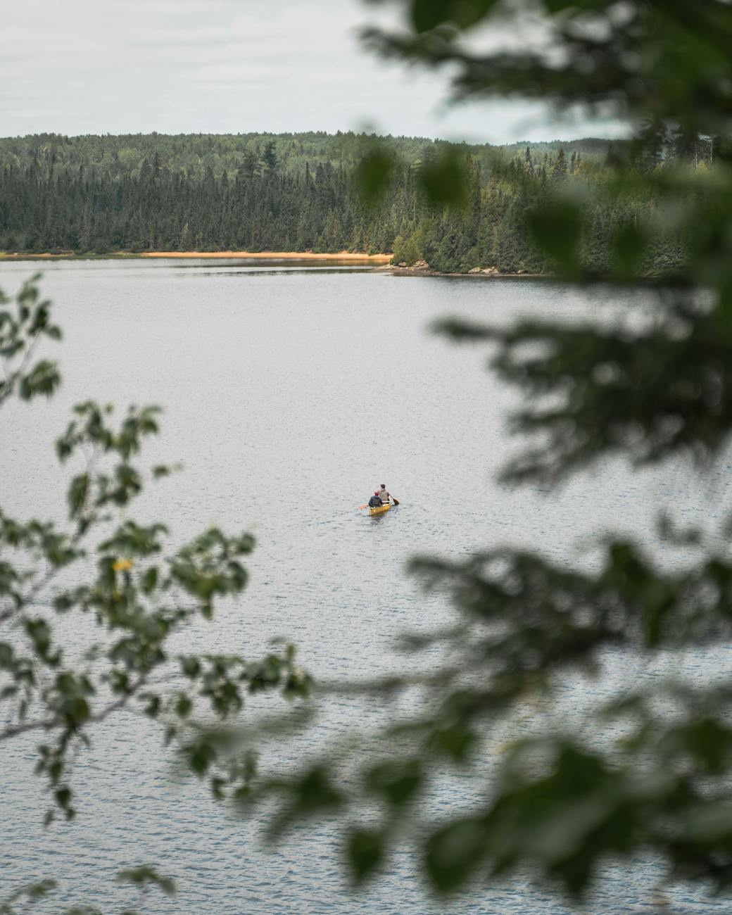 Northern Minnesota landscape